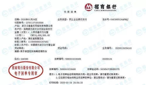 解放军 医疗工作队 央企互联网企业 武汉,我们来了