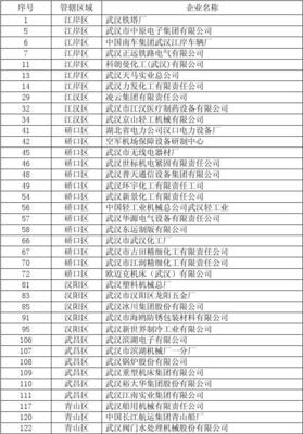 武汉市企业分布