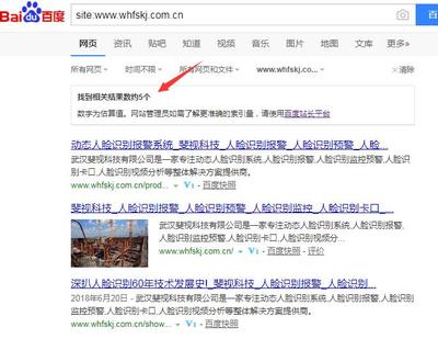 武汉企业公司网站做竞价好还是做SEO优化推广好?