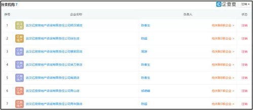 湖北消金合作方为客户担保引发关注，法院判决书揭示最高收取2%服务费