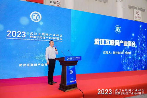 武汉互联网产业峰会暨数字经济产业高峰论坛圆满举行，引领企业网站创新与变革