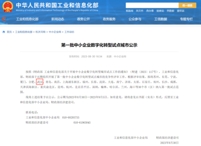 武汉市人民政府门户网站与武汉企业网站 协同发展，共创城市新未来