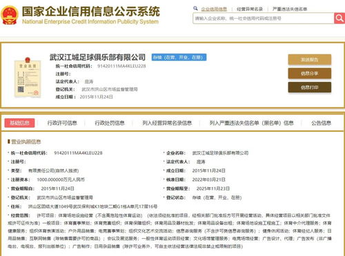 武汉华创华丽转身 从中乙升班马到“武汉江城”的战略跃迁